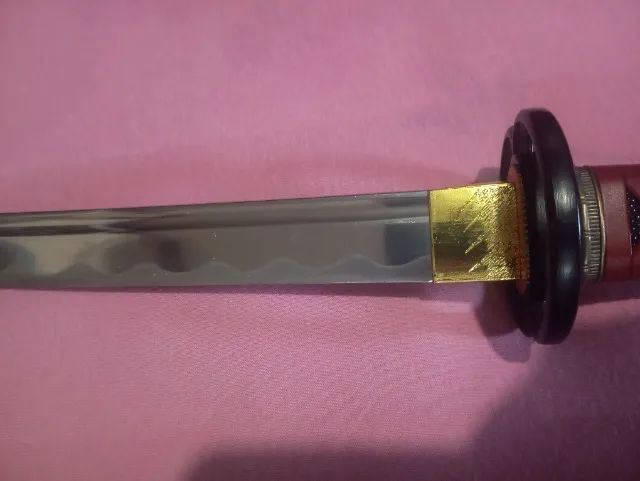 Daito Katen Ky kotsu Espada  - Foto 4