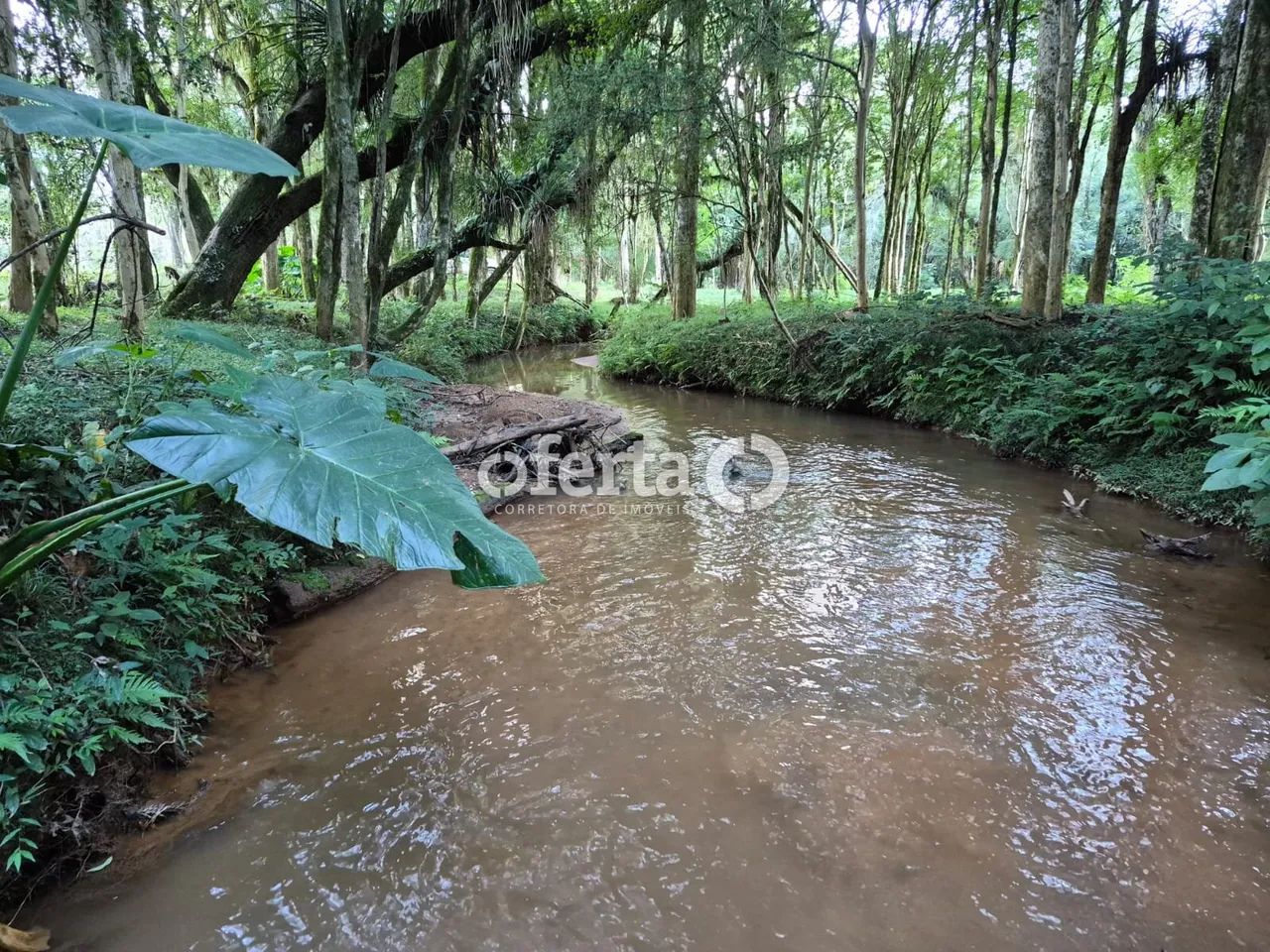 Chácara em Contenda - Foto 3