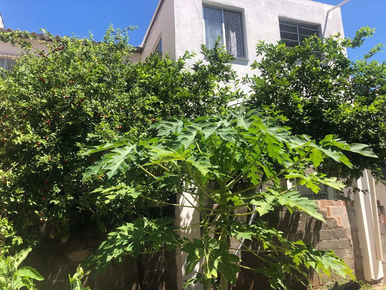 Apartamento mobiliado em Itapuã  - Foto 2