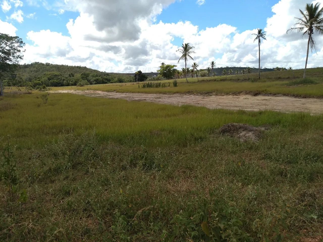Terreno no interior de salgado. - Foto 5