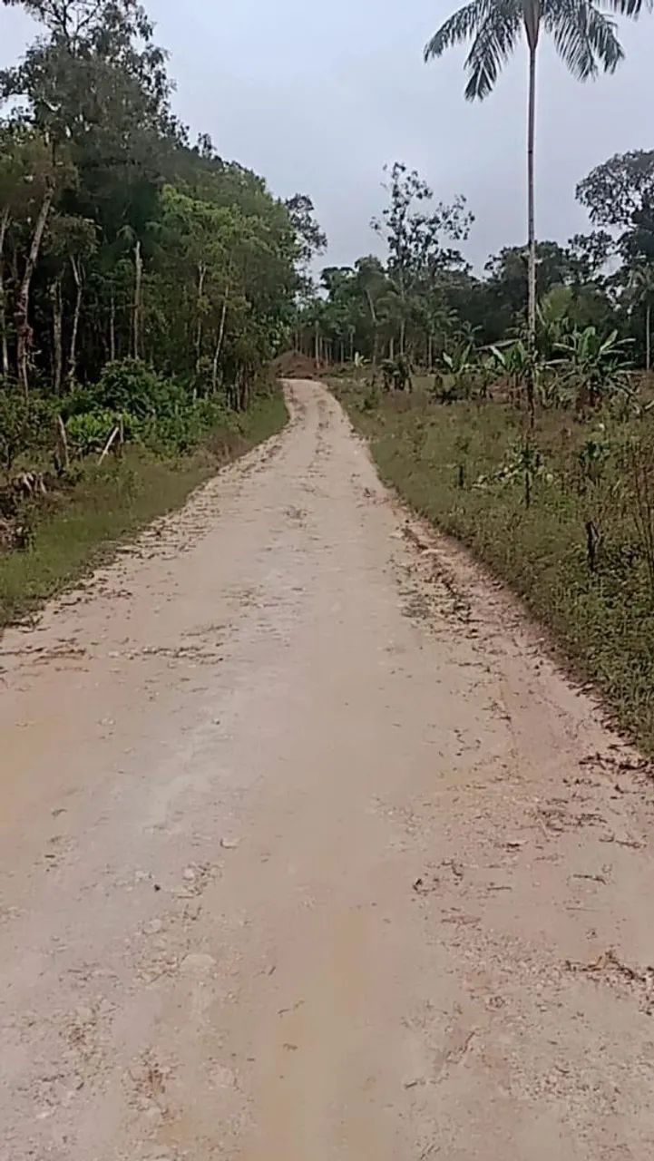 Vendo sítio  - Foto 4