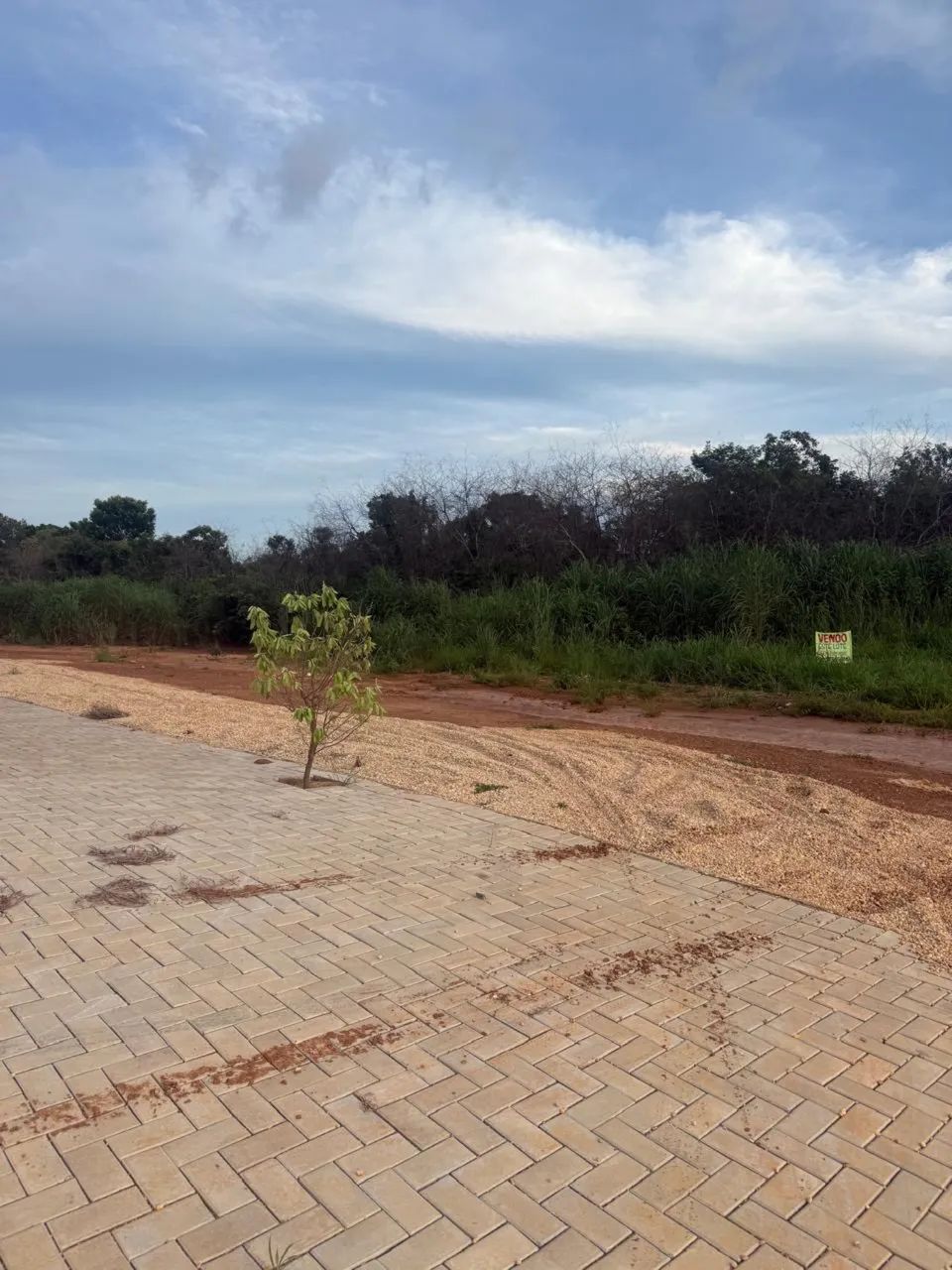 Vendo terreno na ACSO 80  - Foto 5