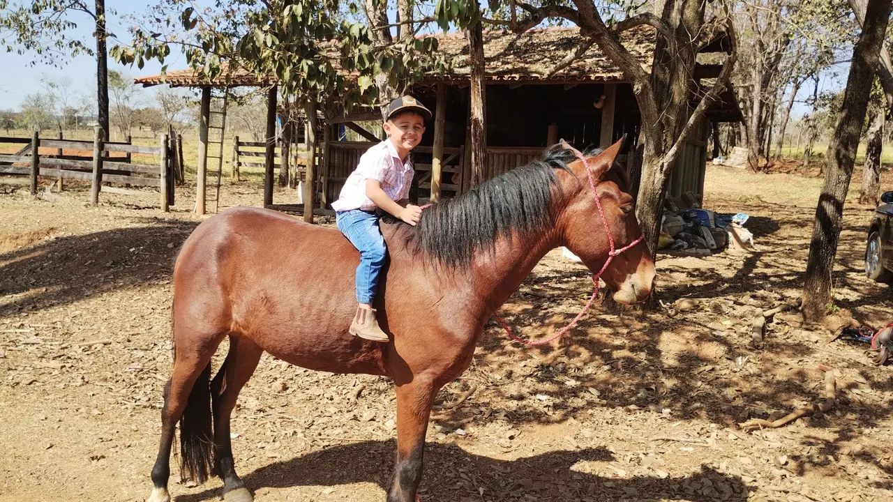Vendo - Foto 4