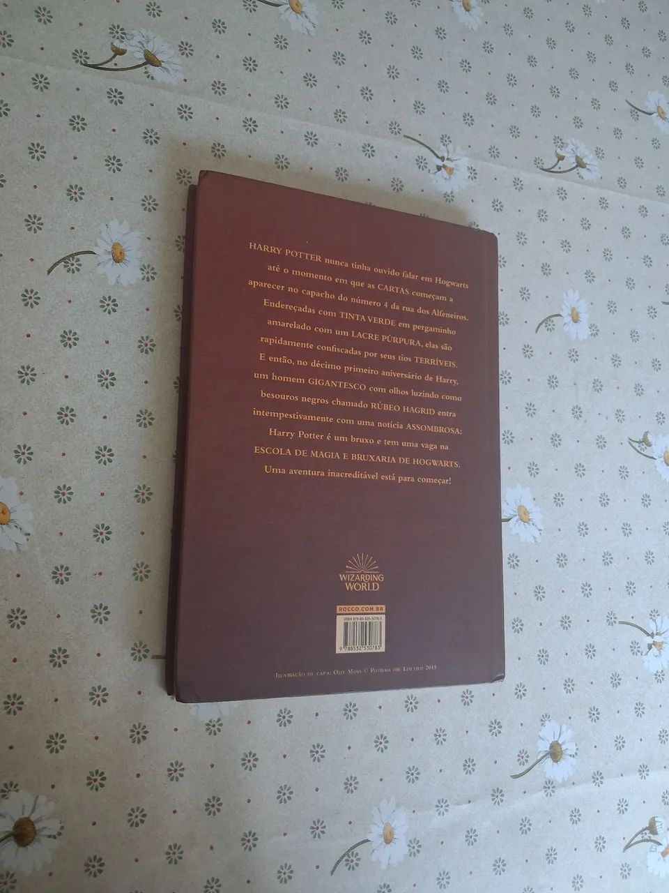 Livro Harry Potter e a Pedra Filosofal - Foto 3