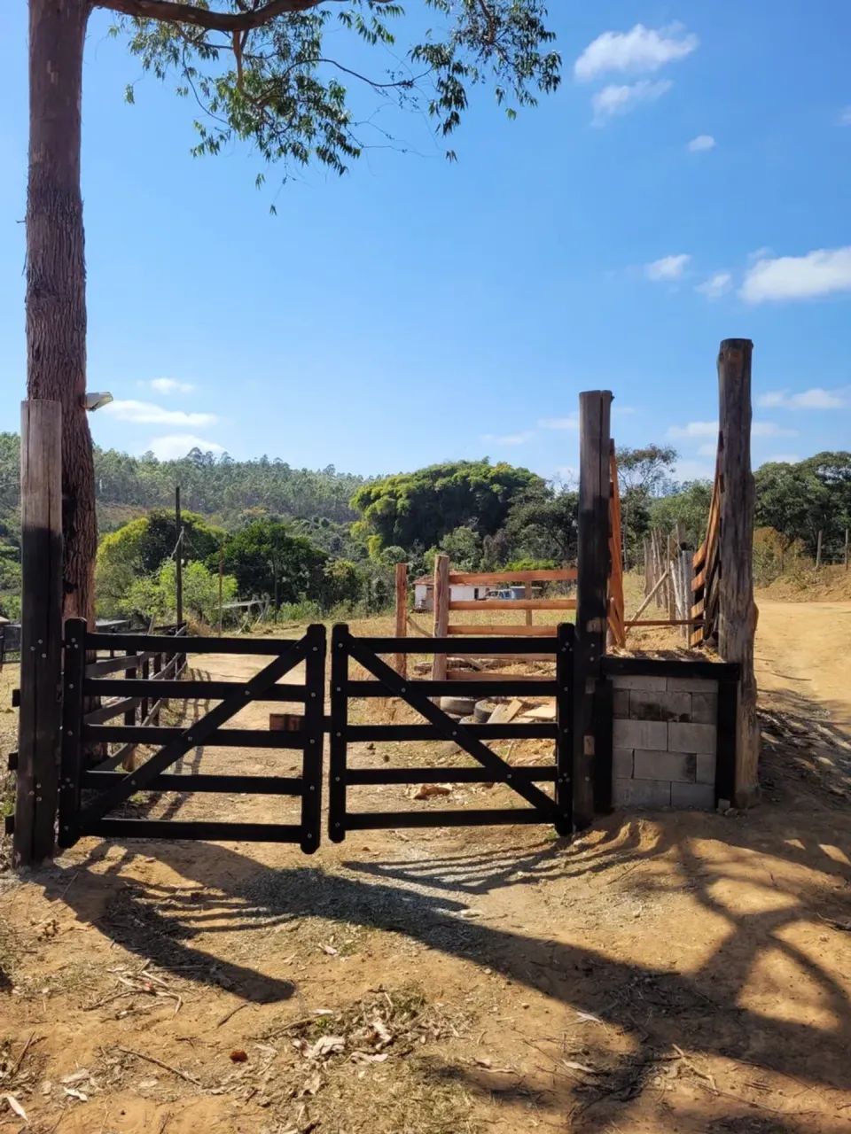 Sitio em Desterro de Entre Rios MG 2 hectares 20 mil metros 220 mil - Foto 2