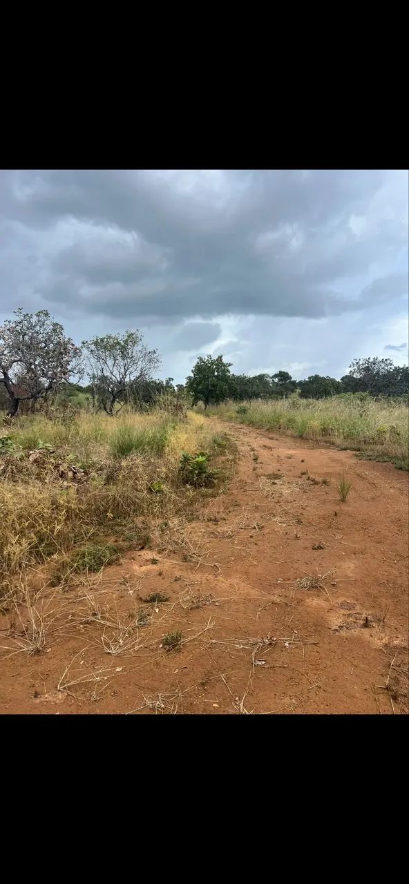 Venda de área rural  - Foto 5