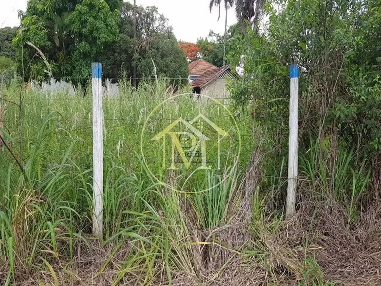 Galpão Rural à venda, Centro, Limeira - GA0042. - Foto 5