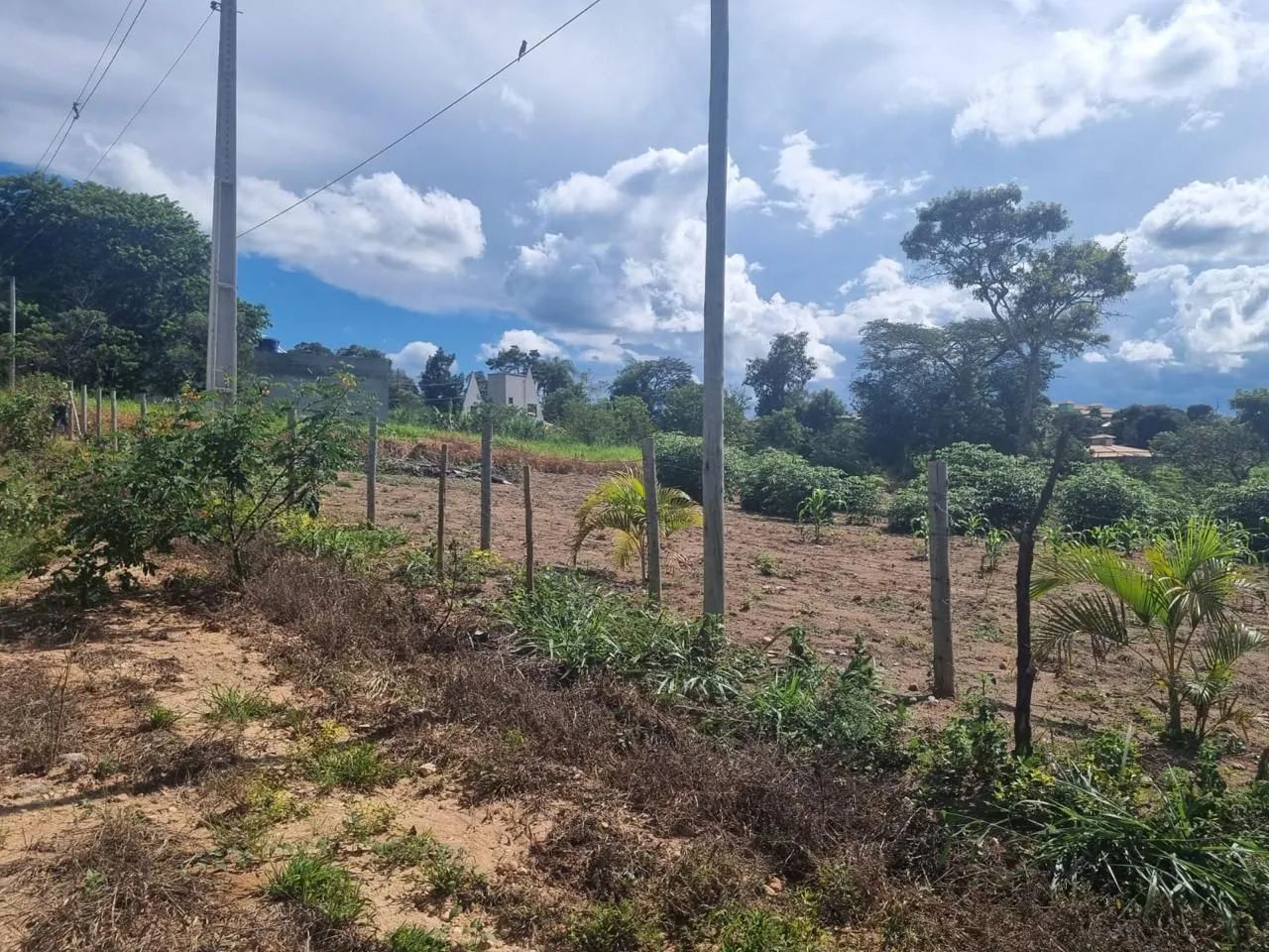 Foto - Belo Horizonte - Barreiro