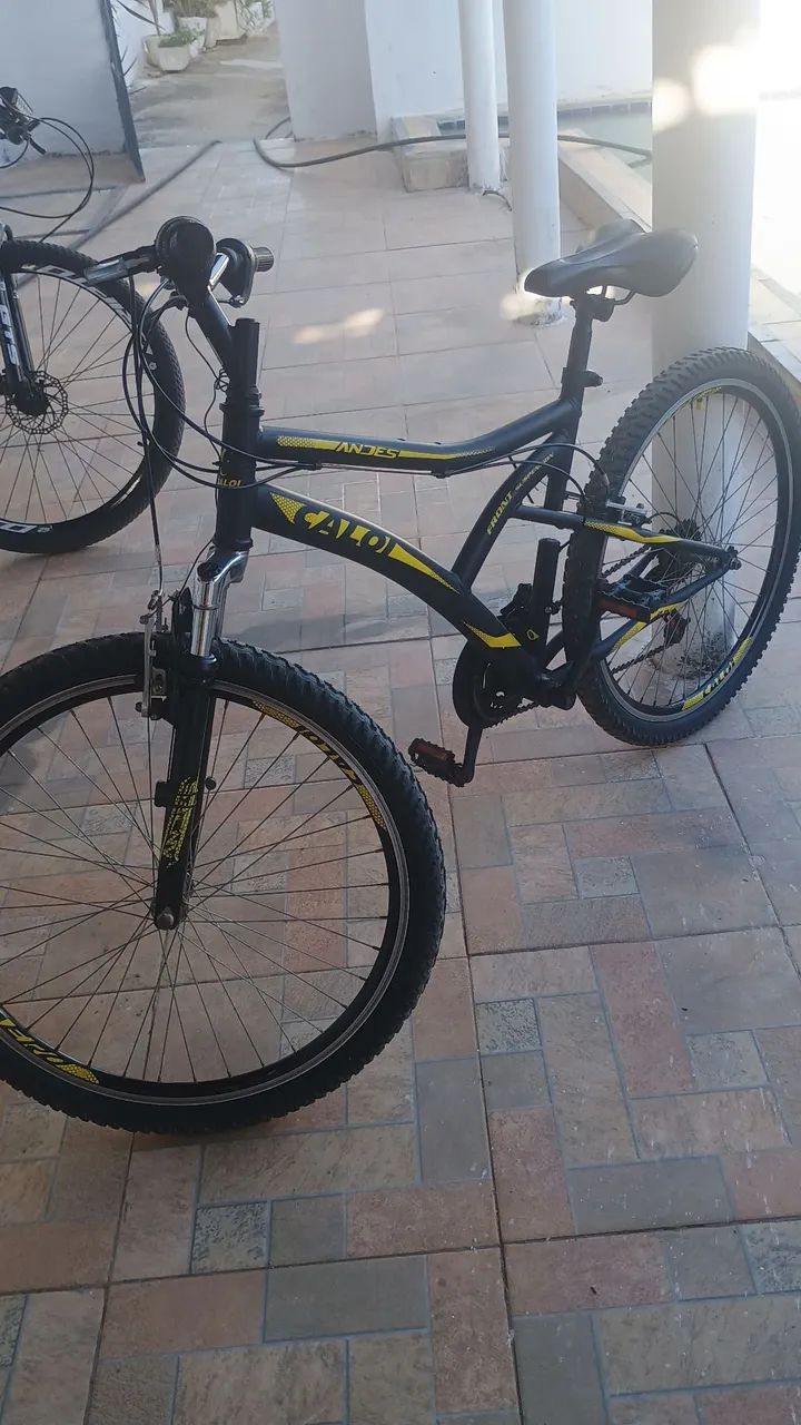 Bicicleta Caloi andes