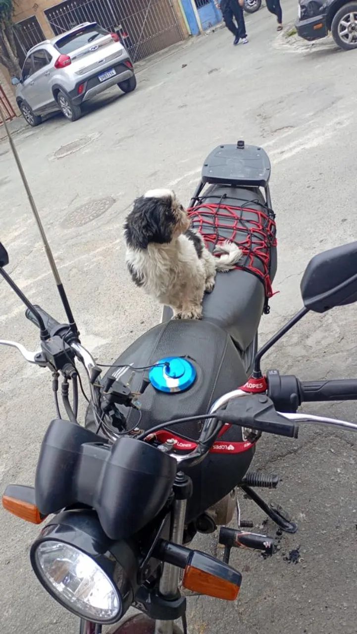 Moto  - Foto 4