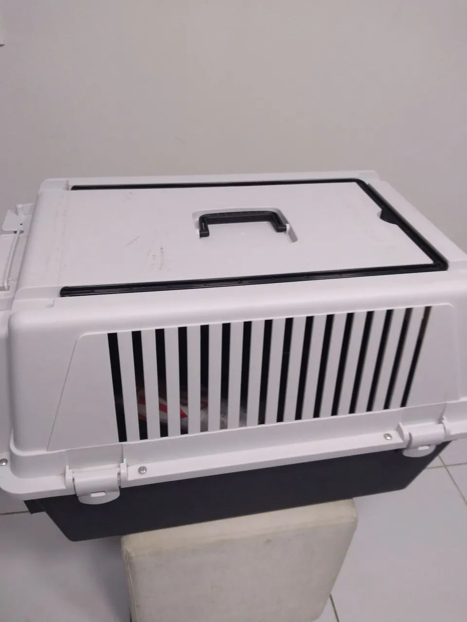 Caixa transporte pet médio 