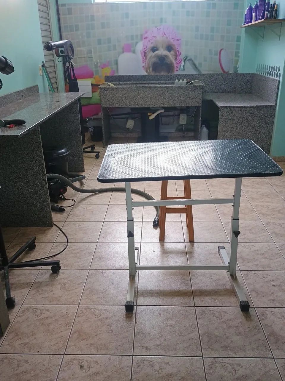 Vende-se banho e tosa completo - Foto 3