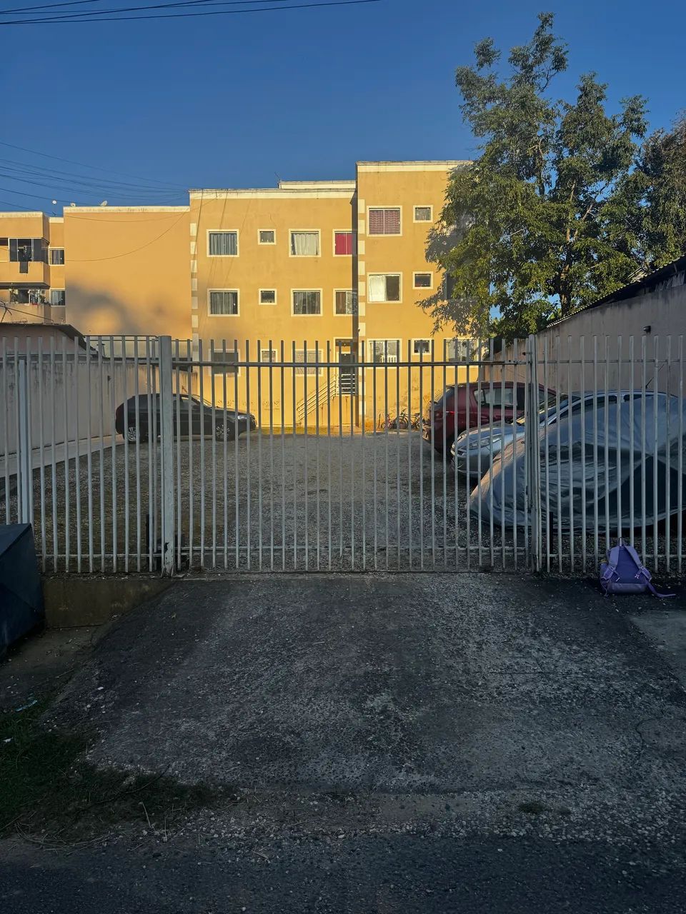 Foto - São José dos Pinhais - Roseira de São Sebastião