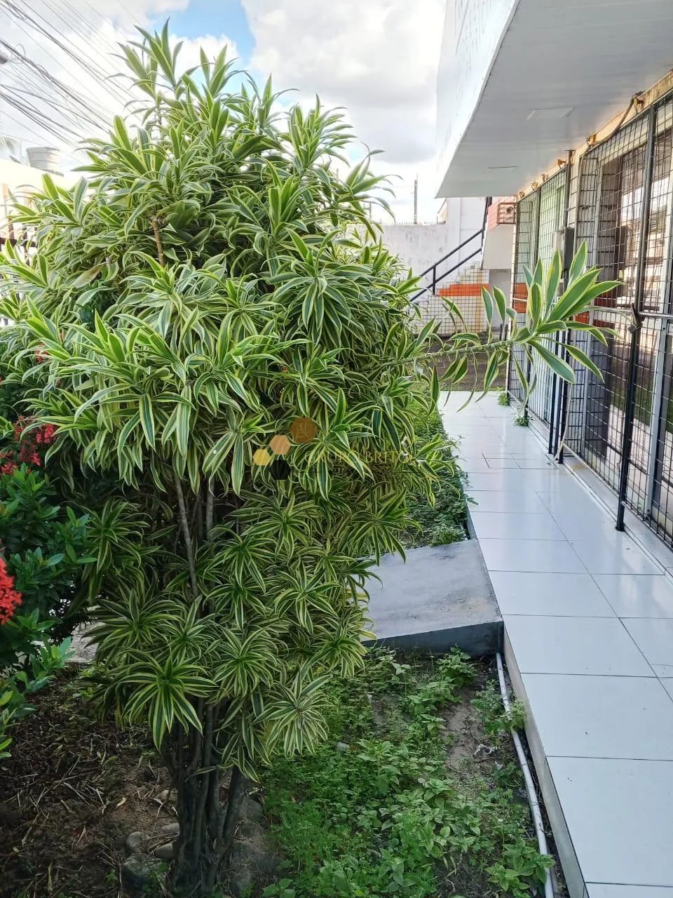 Galeria comercial à venda - Foto 3