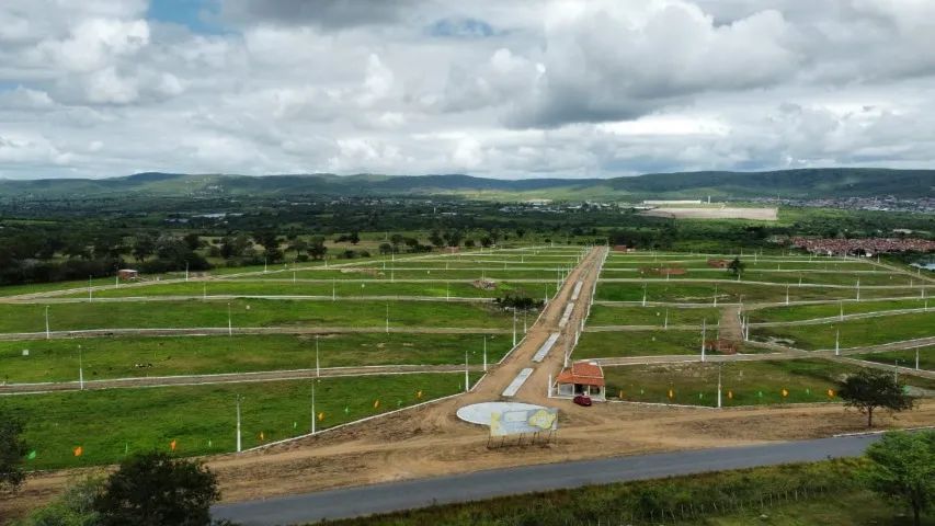 REPASSE DE LOTE EM BEZERROS. contato 81- * - Foto 2