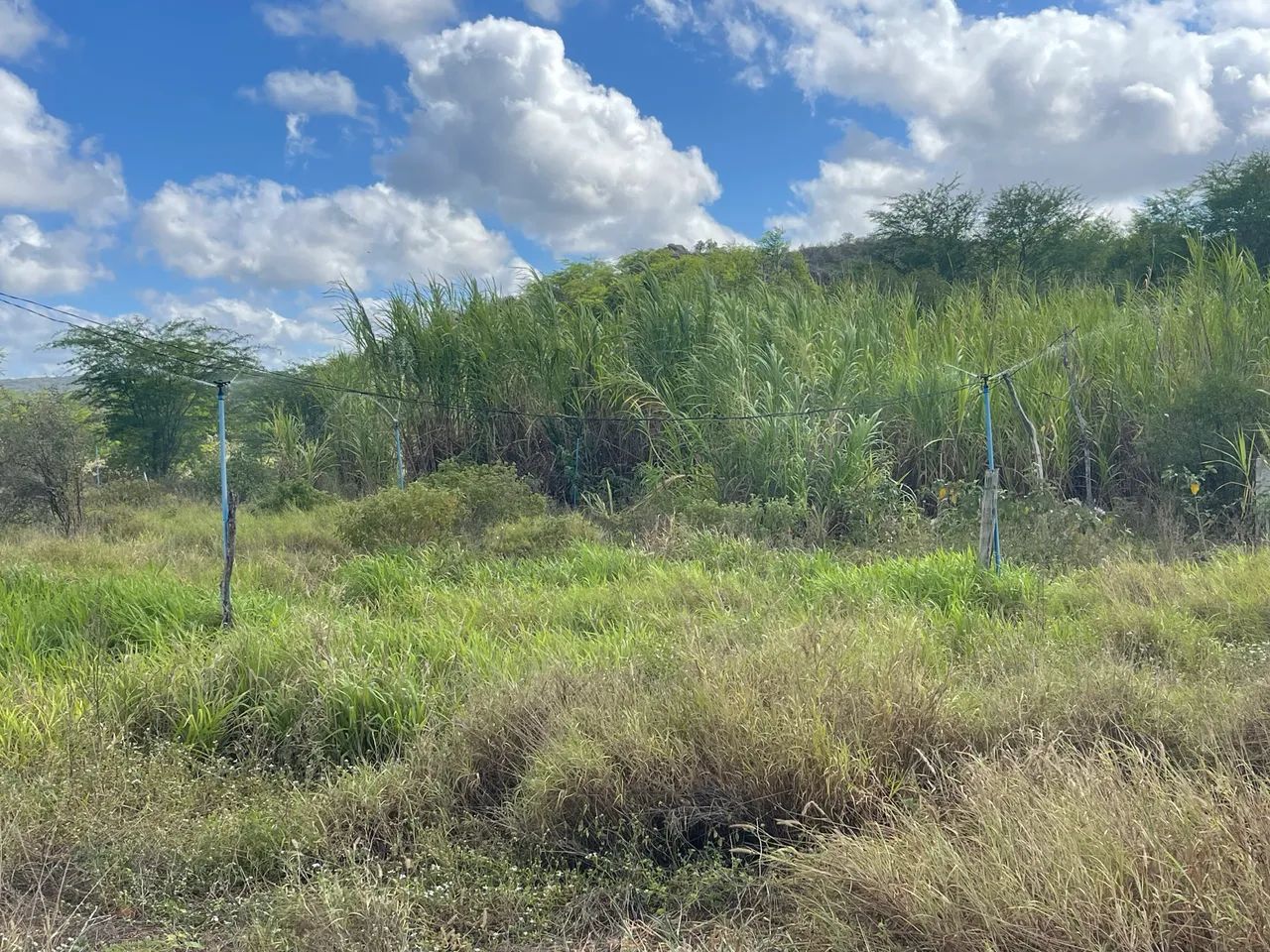 Fazenda em Jeremoabo/Ba - Foto 3