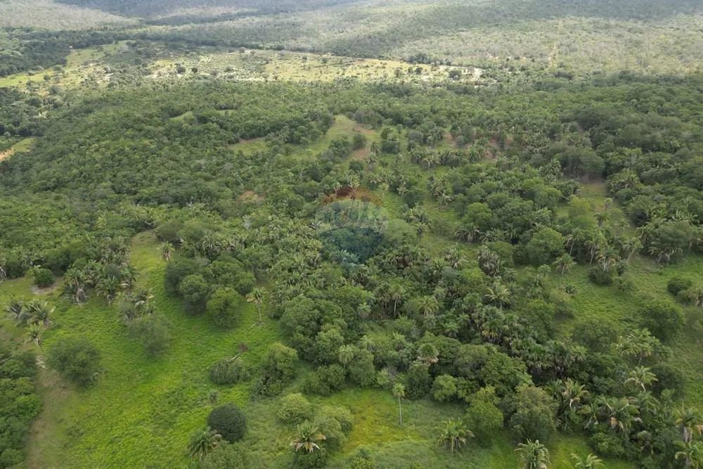 Propriedade Rural a Venda - Babaçulândia Tocantins - Foto 3