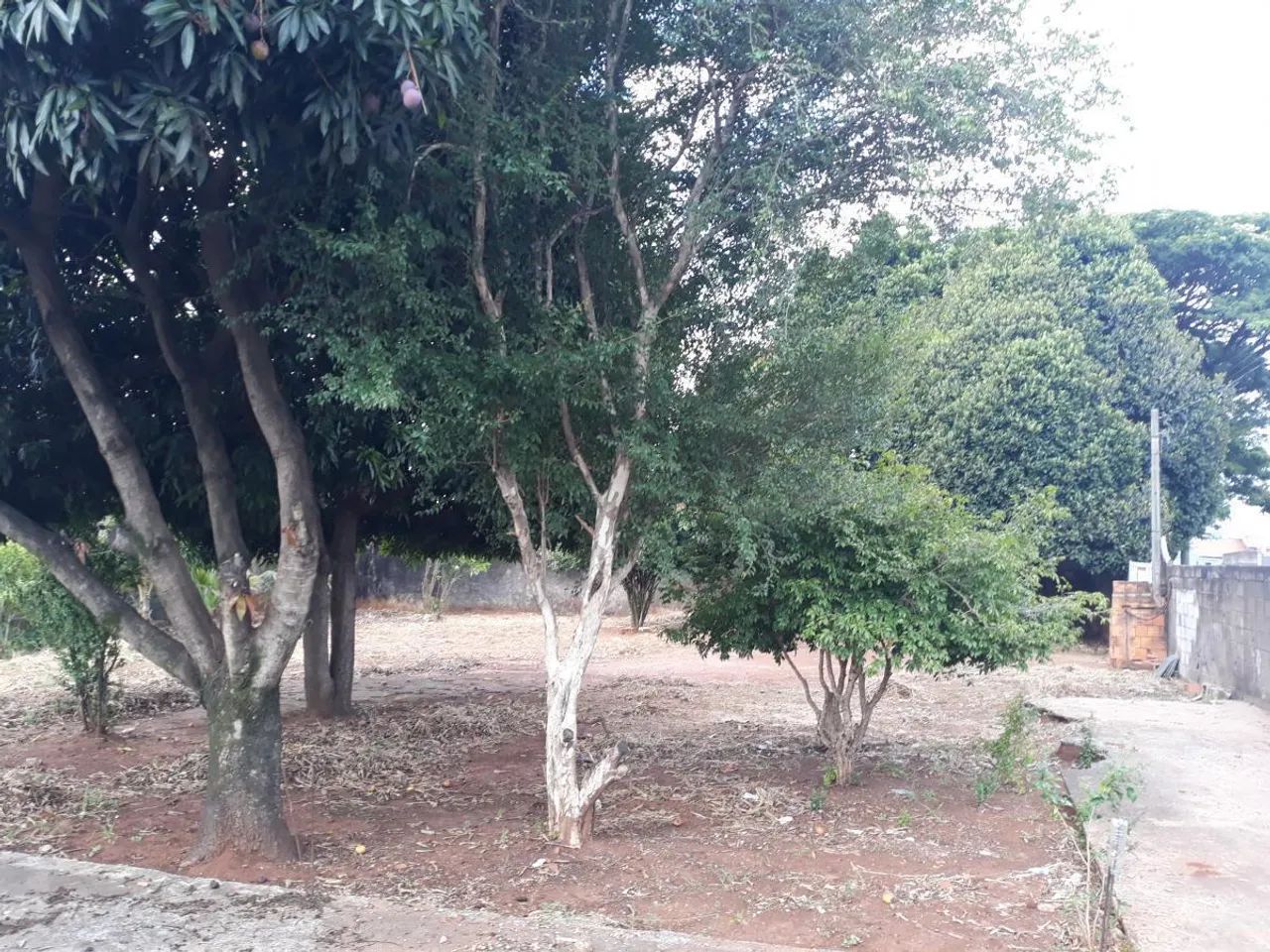 Terreno para Venda em Campinas, Jardim Aparecida - Foto 5
