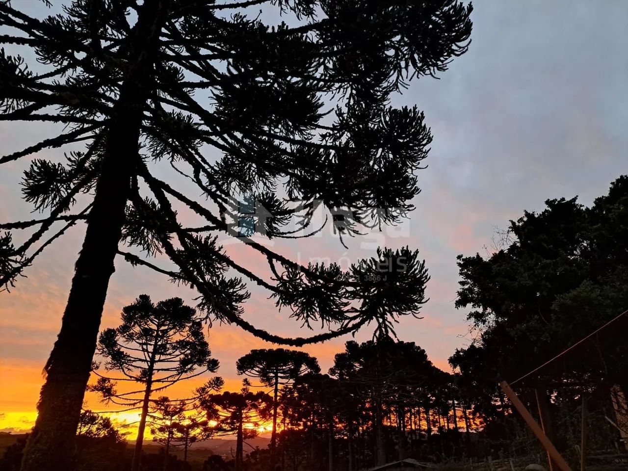 Sítio à venda em Bom Jardim da Serra - Foto 5
