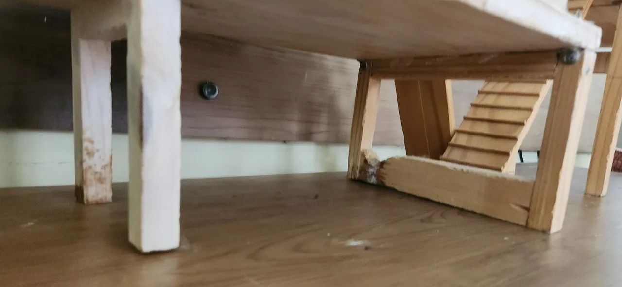 Itens de terrário para hamster ou roedores pequenos - Foto 5