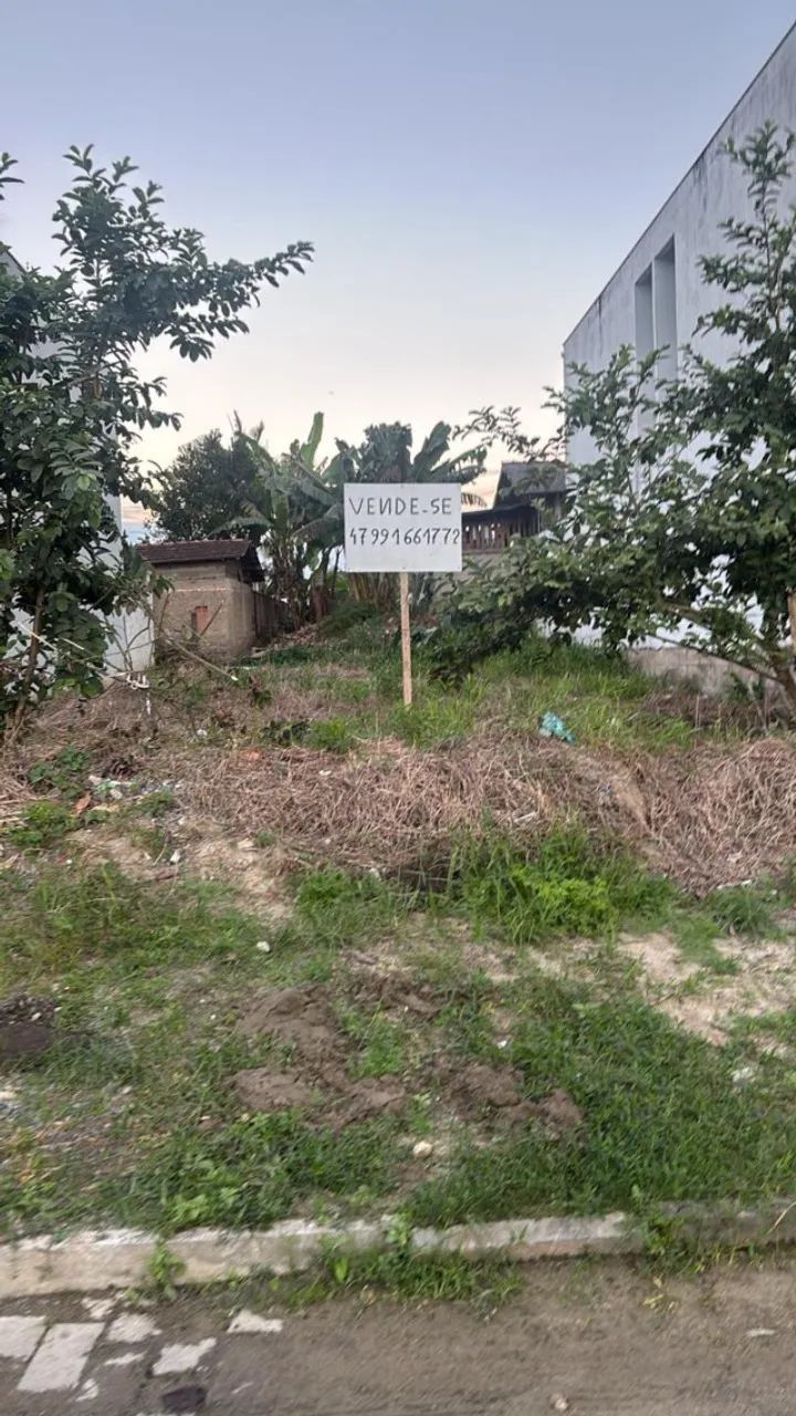 Vendo Terreno Itinga - Foto 2