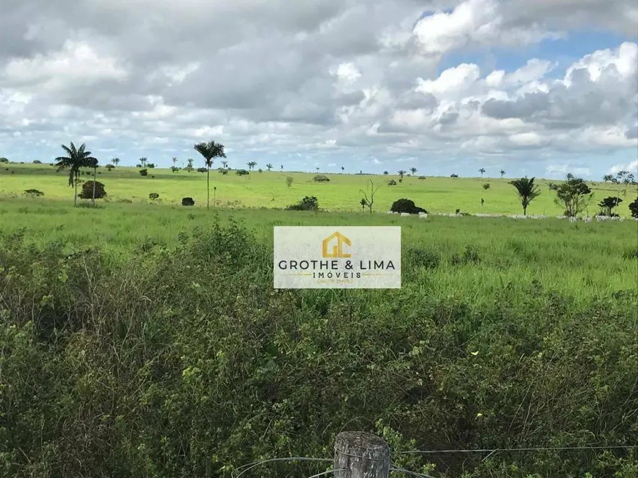 Vendo fazenda próximo a cidade de Arapoema e Wanderlândia - Foto 2