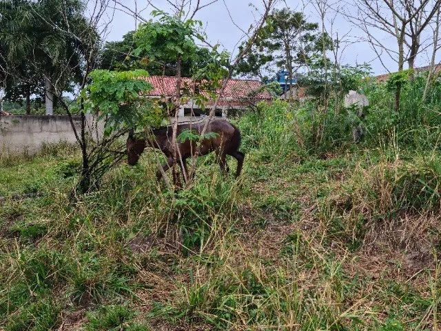 Terreno 450 m², Rua 20, Lote 491, Loteamento Manu Manuela, São José de Imbassaí, Maricá - Foto 6
