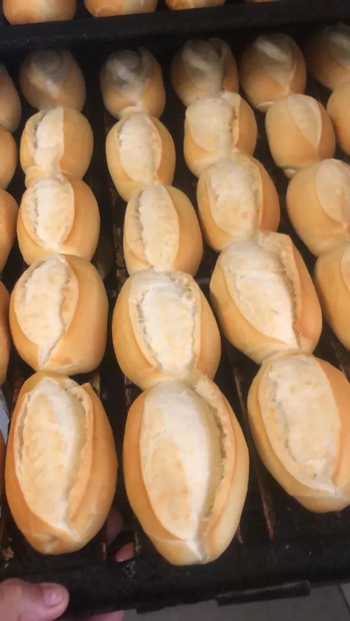 Padeiro disponível  - Foto 4
