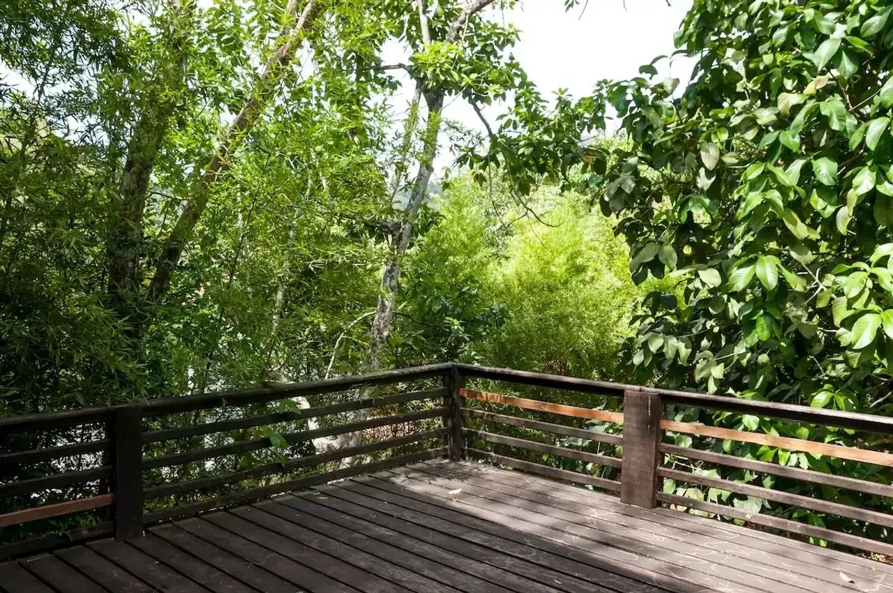 Santo Antônio Sítio na floresta exuberante 5 hectares 4 quartos à venda 1 hora do Rio de J - Foto 8