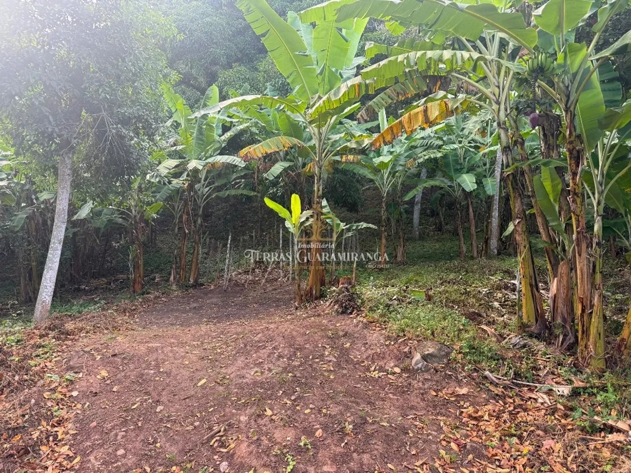 TERRENO NA CIDADE DE GUARAMIRANGA - CEARÁ - Foto 3