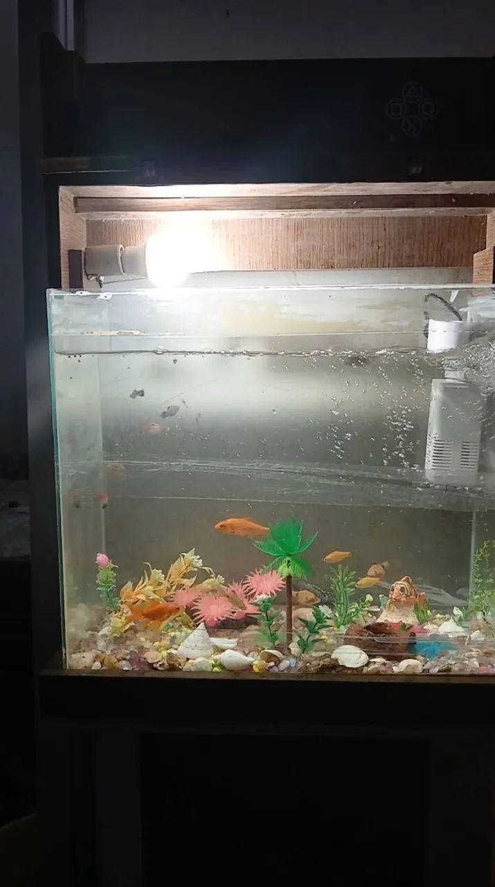 Aquario de 80 litros - Foto 3