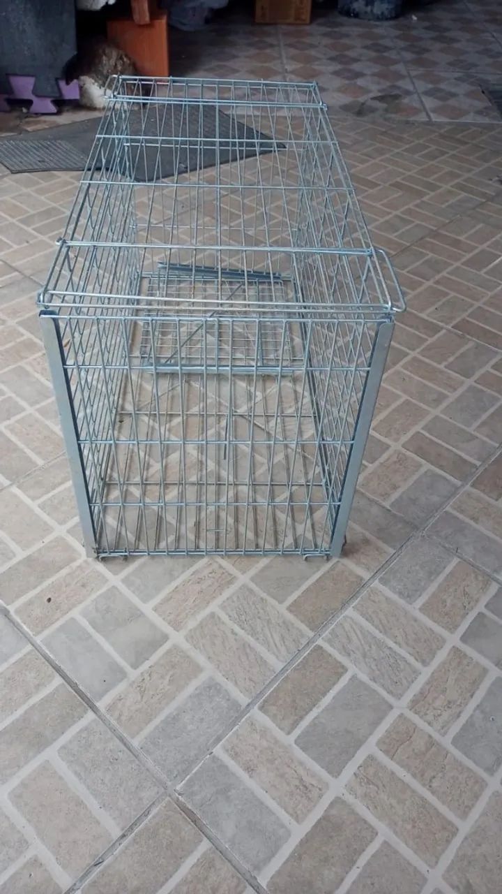 Cat Trap Cage
