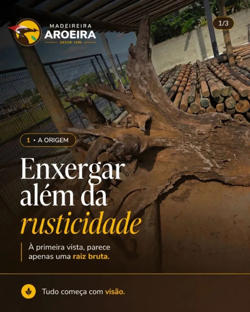 Raiz de Madeira Para Mesa
