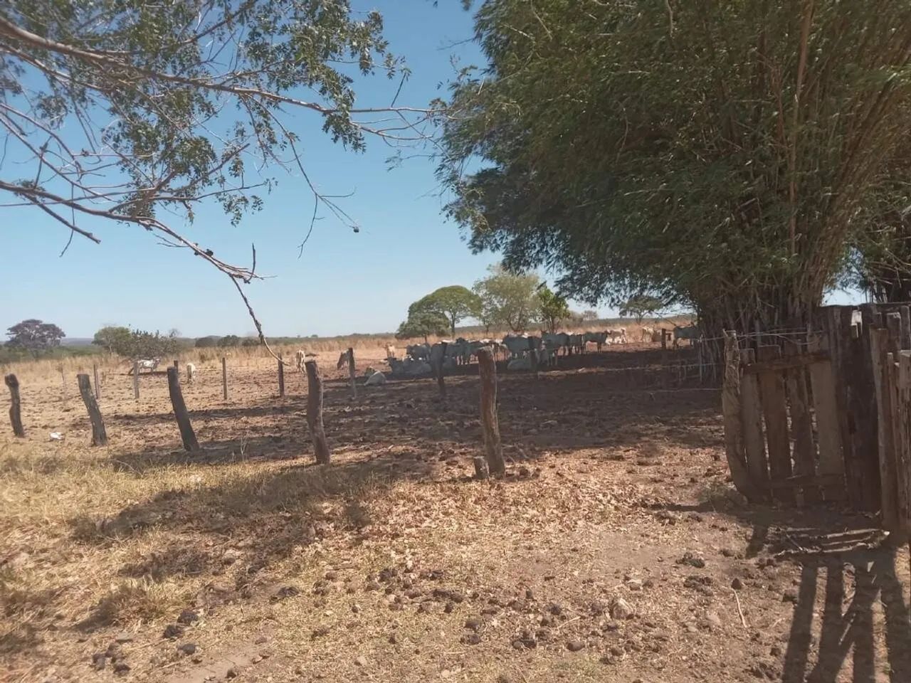 Imóvel rural, 668 m² no Zona Rural em Natividade - Foto 5