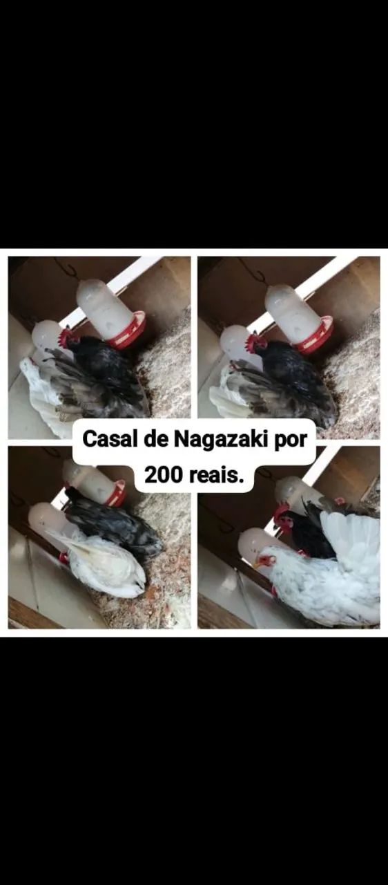 Vende-se os dois.