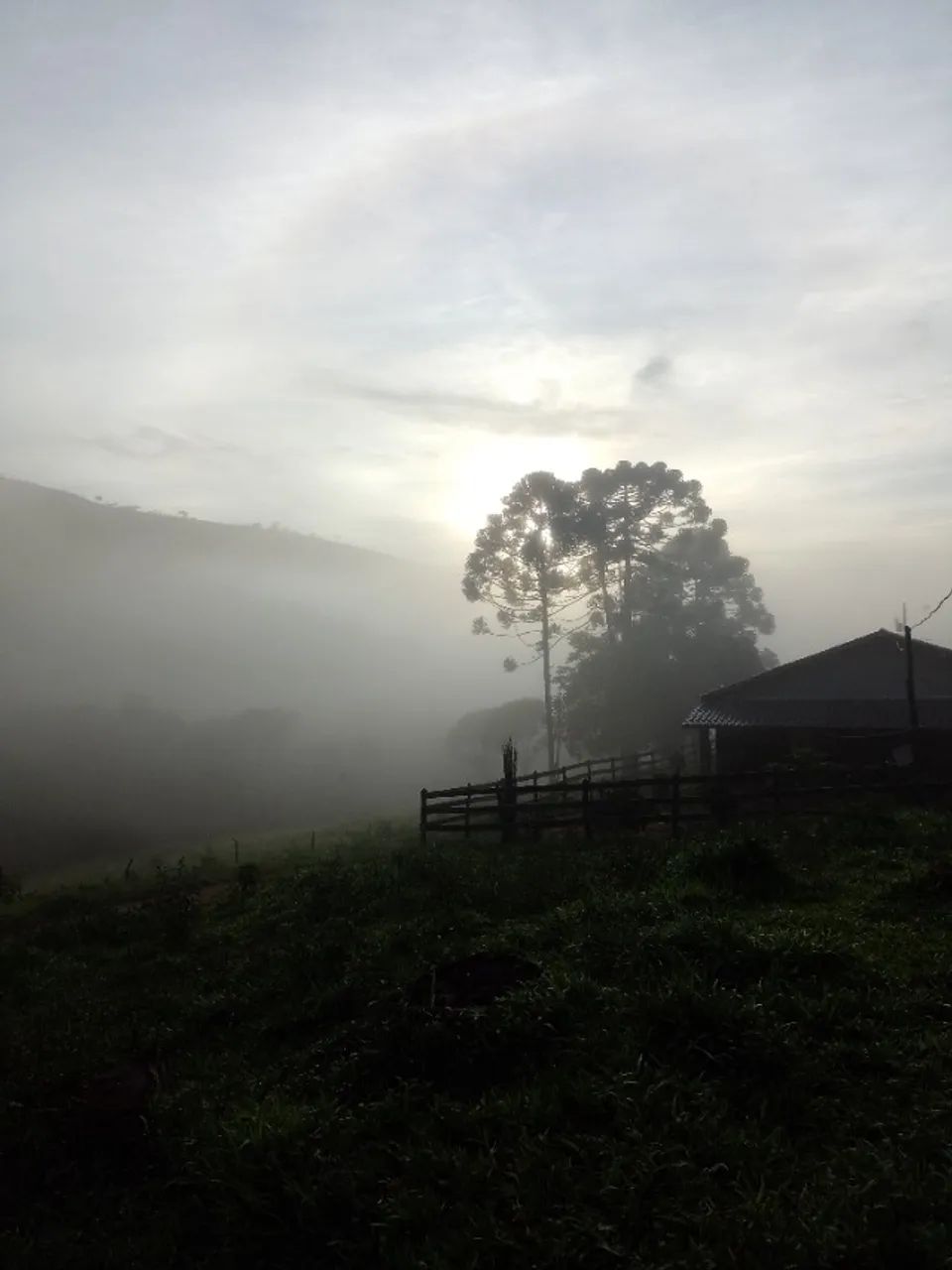 Foto - Liberdade - 