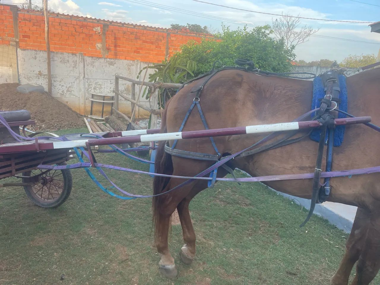 Vendeo charrete - Foto 4