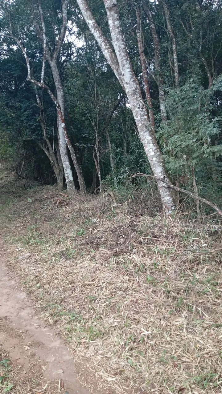  Lote para chácara Aracariguama  - Foto 2