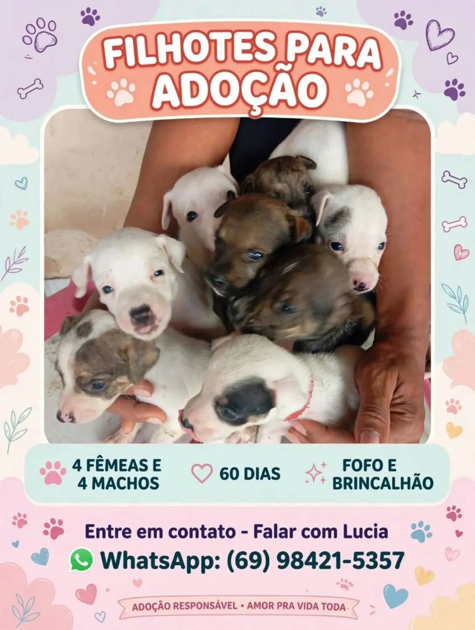 Adoção de filhotes 
