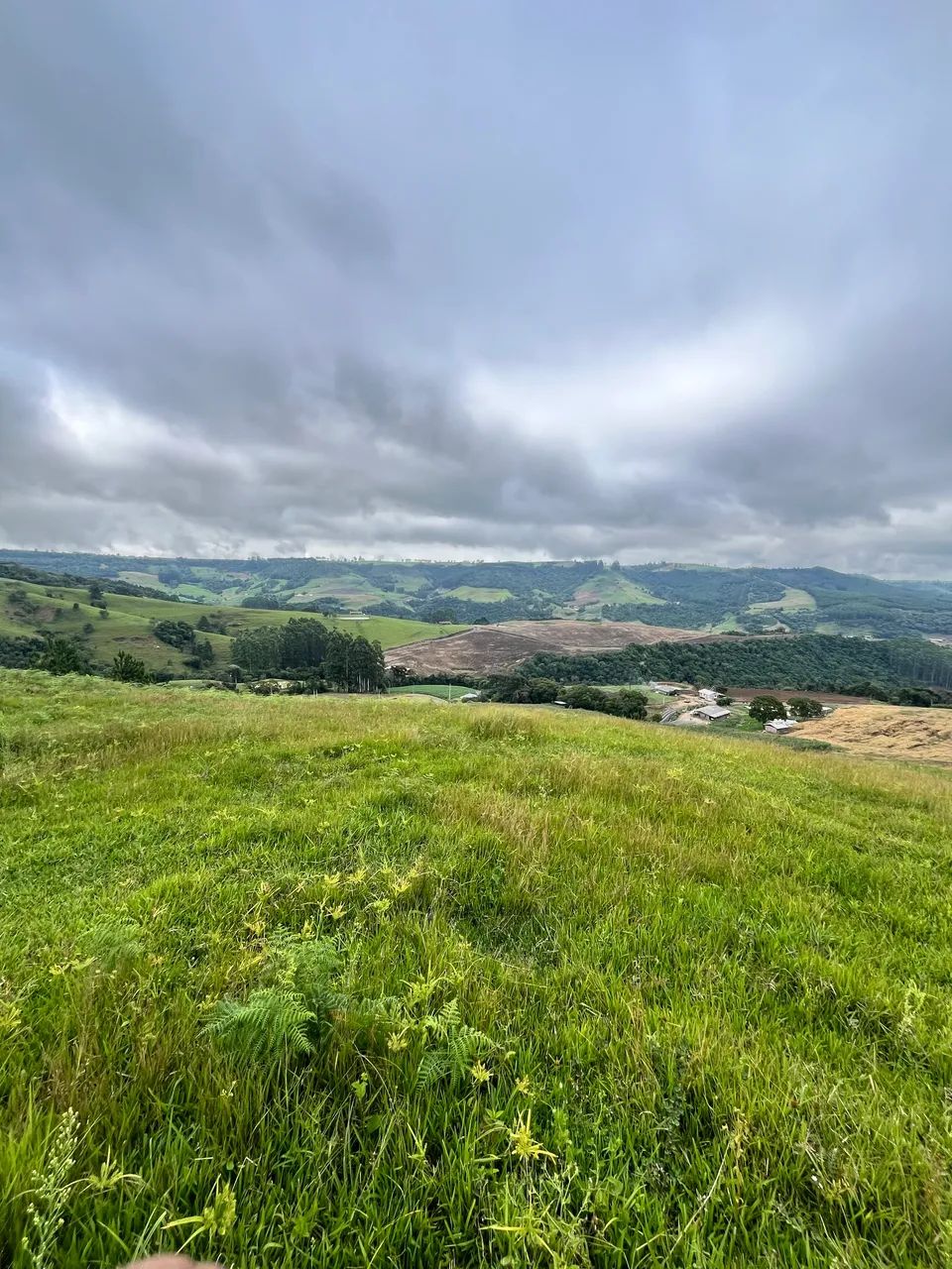 Terreno na serra  - Foto 3