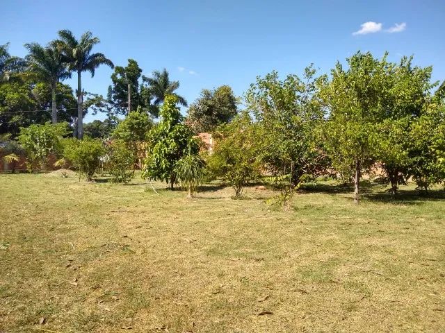 Vendo terrenos em Campo Lindo Seropédica a 100 metros do asfalto - Foto 4