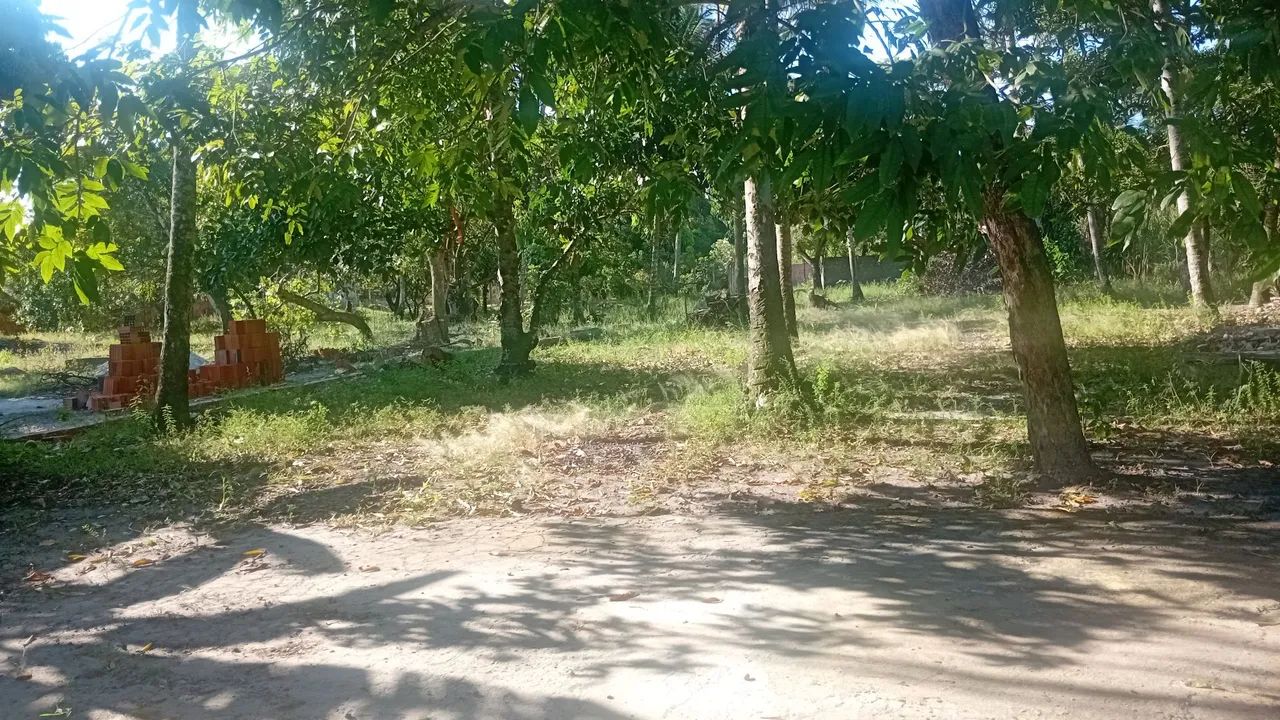 Terrenos - Foto 3