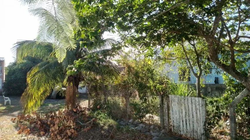 Terreno a apenas 50 metros da Praia de Jaconé!  - Foto 8
