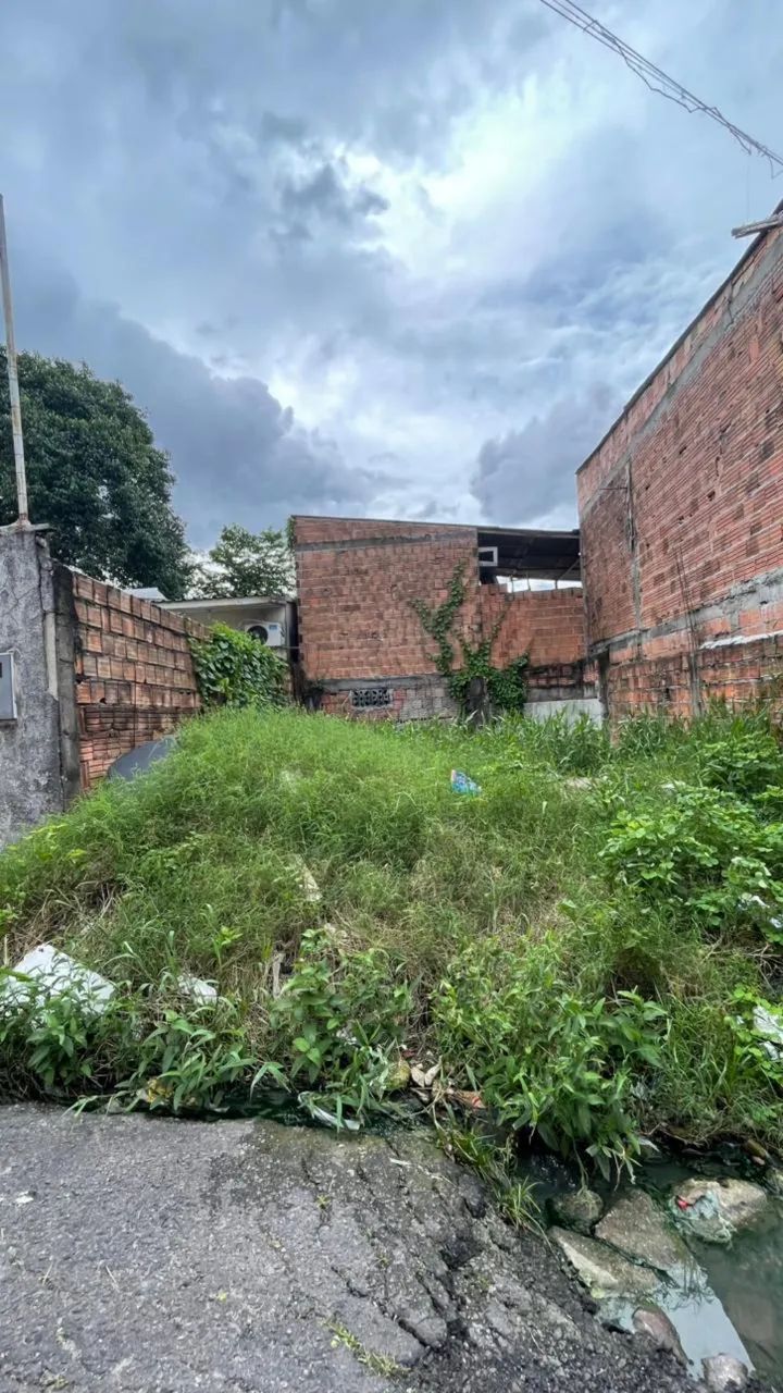 Terreno ,  Colonia terra nova  - Foto 2