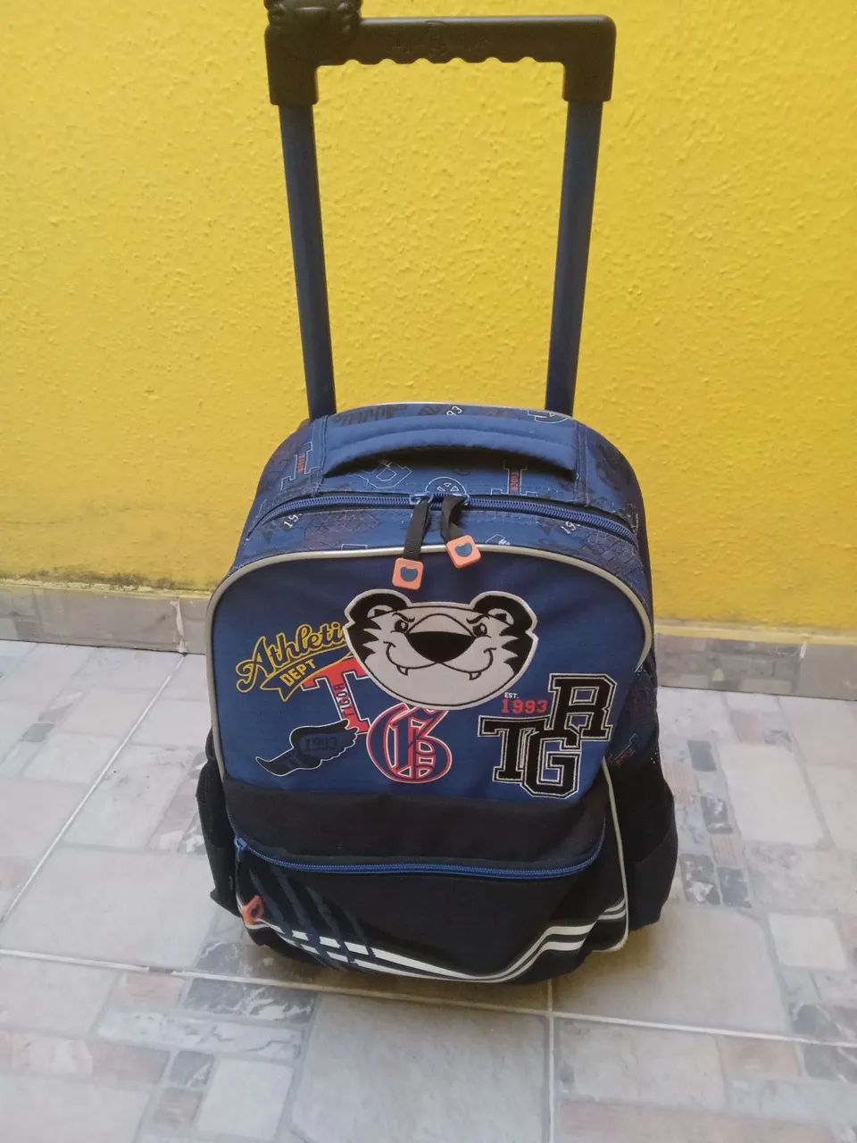 Bolsa da Tigor 