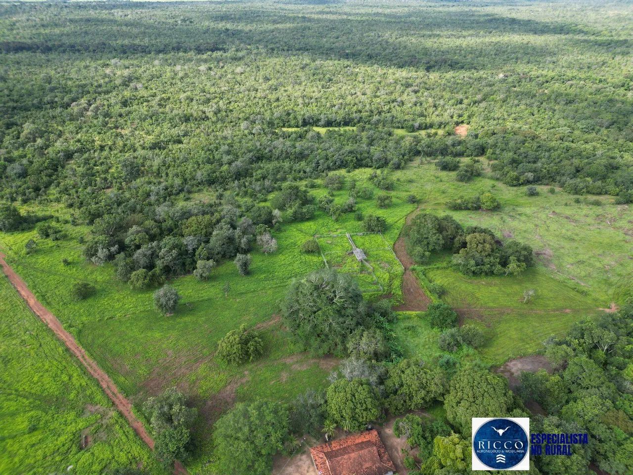 Fazenda à Venda  254 Alqueires na região de Alvorada do Tocantins - Foto 5
