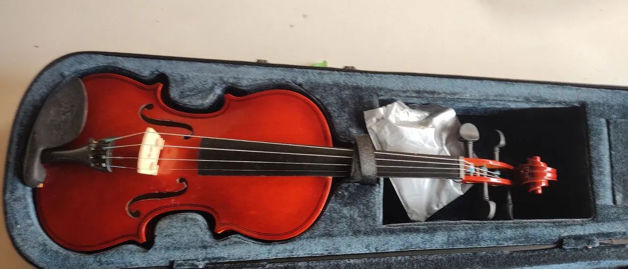 Violino - Foto 2