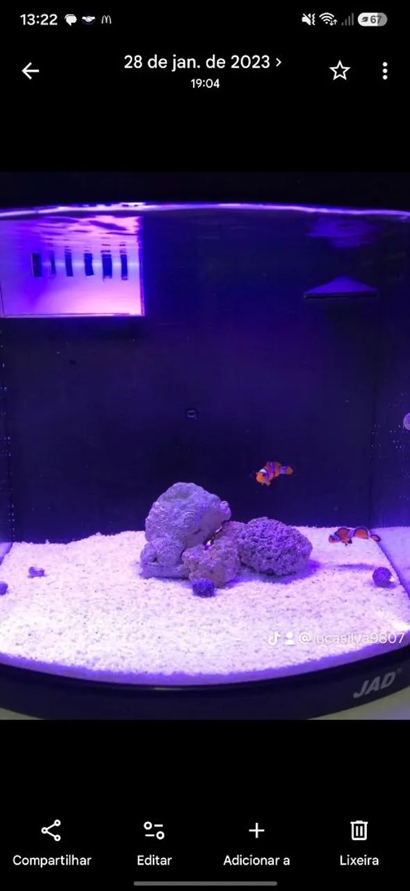 Aquario completo  - Foto 3