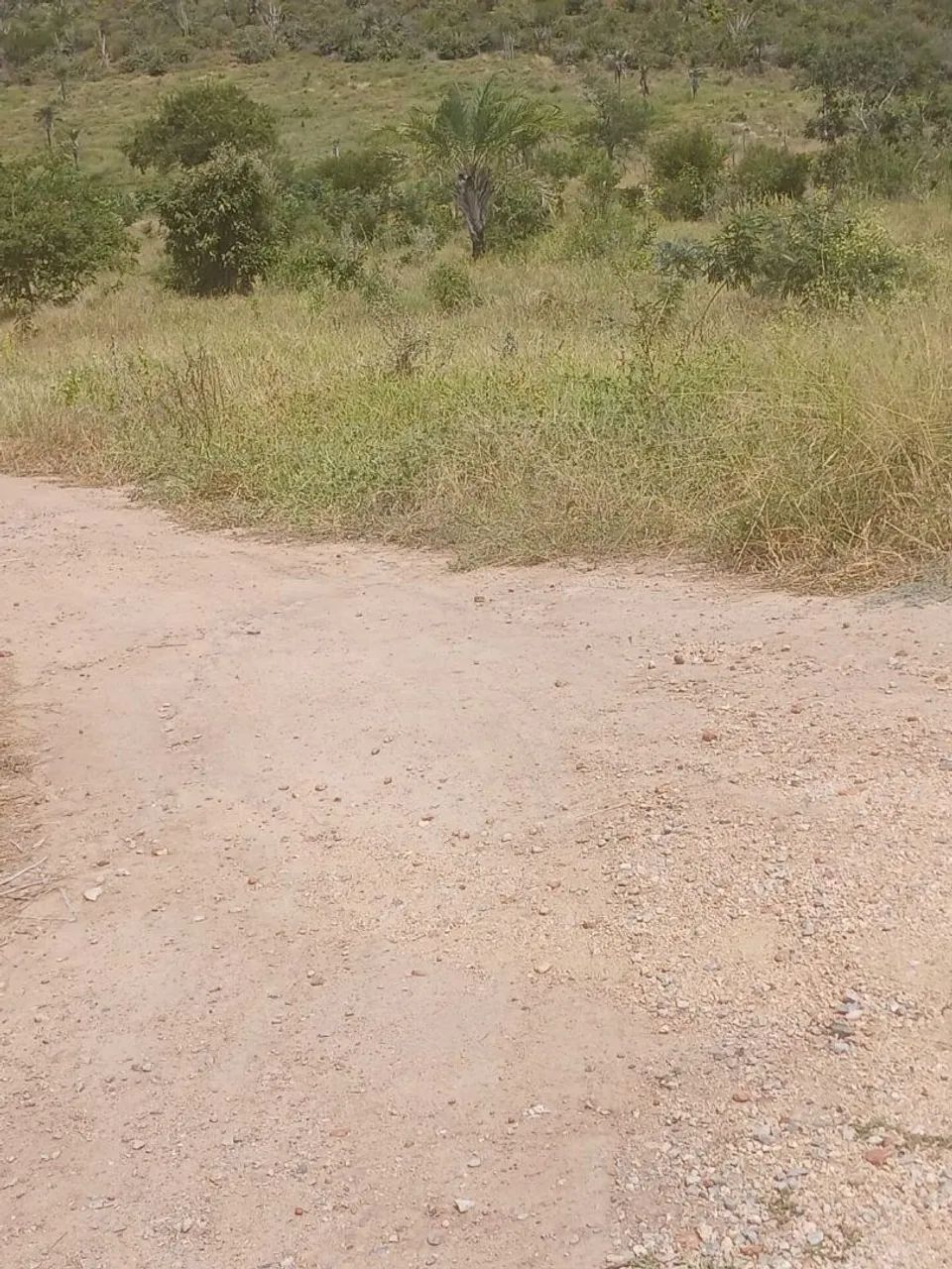 Terreno 