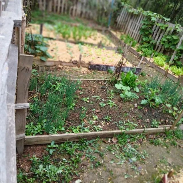 Maravilha de Terreno em Parelheiros - Foto 2
